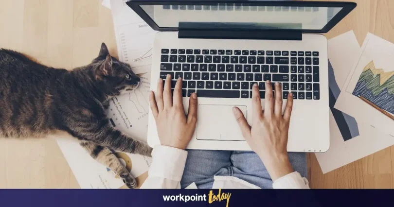 แอปจัดการงานใช้ดี